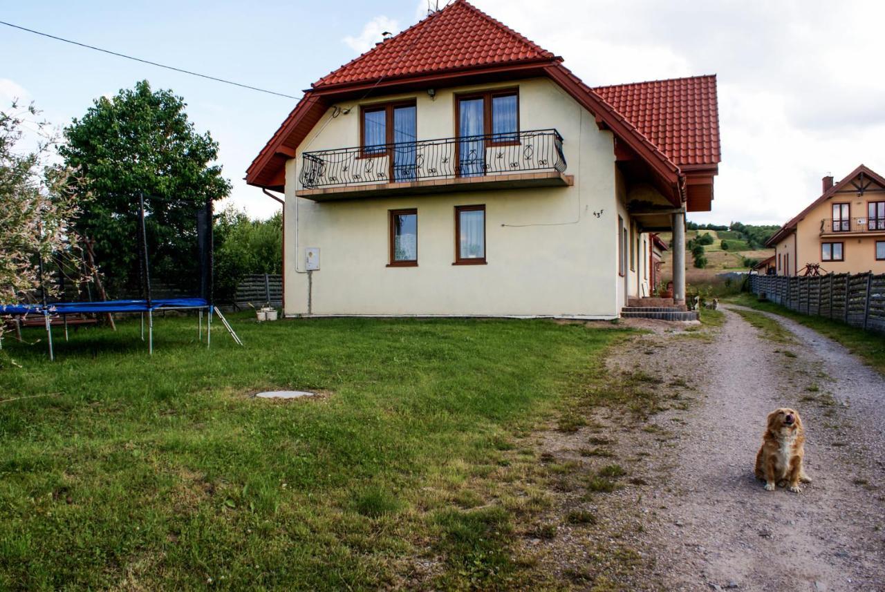 Agroturystyka U Aleksa Krajno-Zagorze ภายนอก รูปภาพ